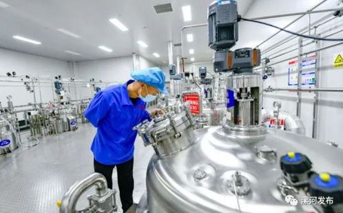 许昌市委书记市长周末带队赴漯 聚焦生物科技，推动产业协同发展